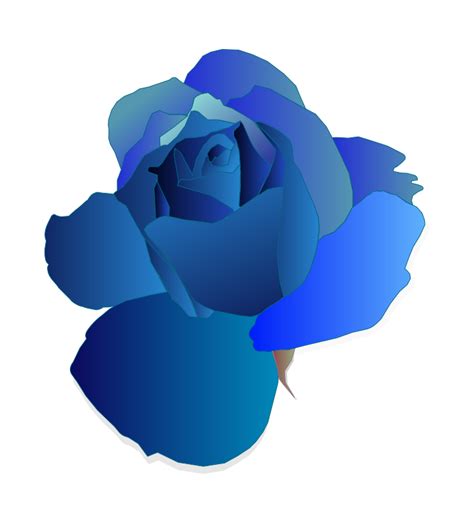 Blue Rose - Openclipart