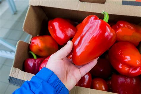 How To Store A Bell Pepper Storables