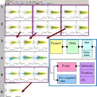 Typical steps in a complete analysis of gene expression (by row): (1)... | Download Scientific ...