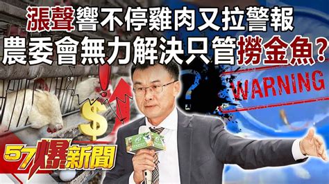 「漲聲」響不停雞肉又拉警報！ 農委會無力解決只管「撈金魚」？ 黃暐瀚 朱學恒 汪潔民 董智森 黃創夏 徐俊相《57爆新聞》精選篇 網路獨播版 2100 5 Youtube