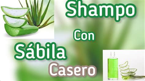 Como Hacer Shampoo De Savila Aloe Ver Casero Para Un Cabello