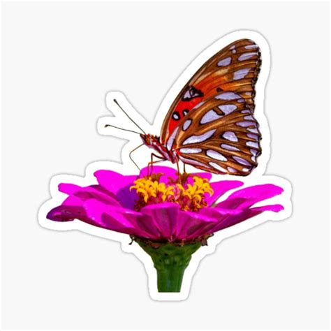 Sunflower Butterflies Dreams Monarchs Natural Sticker For Sale By Stickerforfun1 Redbubble