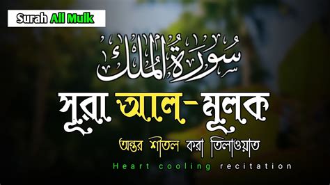 Surah Mulk সর মলক তলওযত Quran Recitation Hindi Bangla