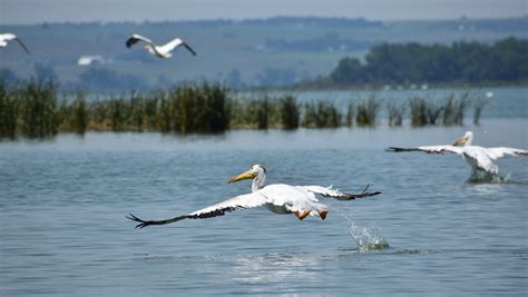 Lake Andes National Wildlife Refuge, a South Dakota National Wildlife ...