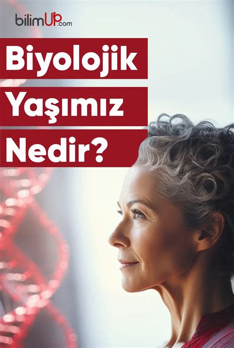 Biyolojik Yaşımız Nedir bilimUP