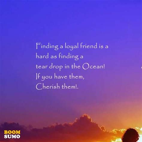 Best Friendship Quotes Finding a loyal friend, keep it – Boom Sumo