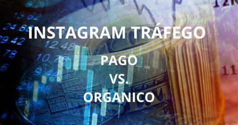 Tráfego Pago Vs Orgânico No Instagram Qual A Melhor Estratégia