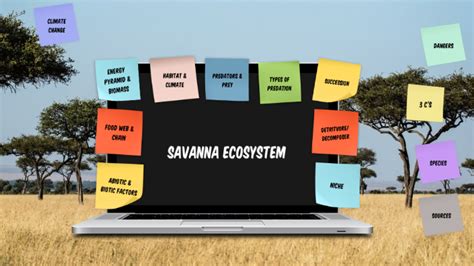 Savana Ecosystem by Melody Weightman