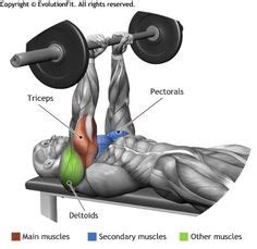 What Is A Close Grip Bench Press A Guide To Bigger Triceps