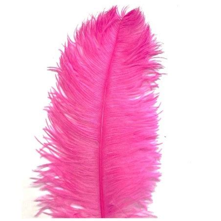 Hot Pink Ostrich Feather Plume Cm