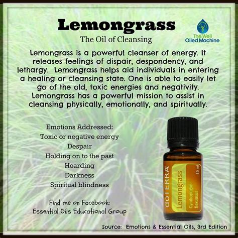 Lemongrass Essential Oils For Massage Herbal Essential Oils Essential Oil Recipes