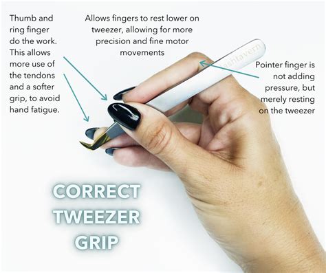 Finding The Right Tweezer Lash Trainer By Lash Tavern