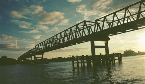 Pontinesia Sungai Kapuas