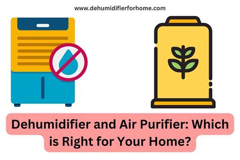 Dehumidifier and Air Purifier: Which is Right for Your Home ...