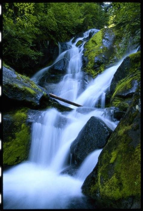 Garda Falls Mount Rainier National Park