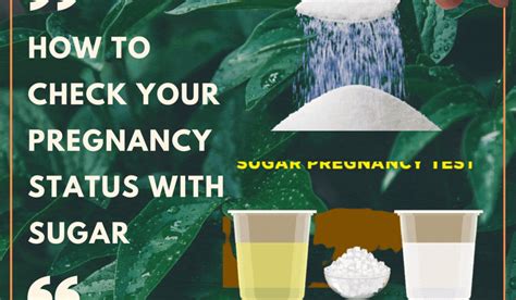 How To Check Your Pregnancy Status With Sugar