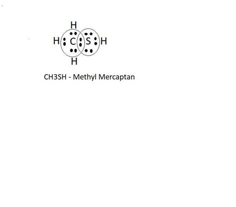 draw the lewis structure of methyl mercaptan. - jingyi31945