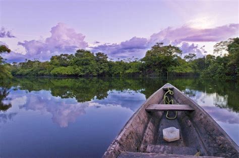 Fotos Del Rio Amazonas