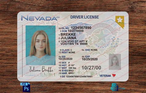 Nevada Driver License Template V2 Psd Stores