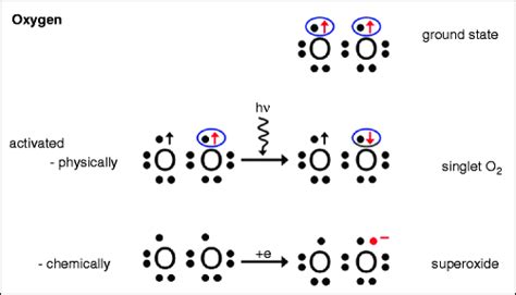 Oxygen Ento Key