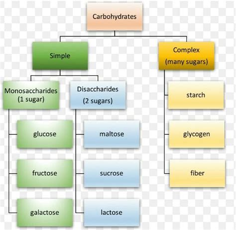 Carbohydrates Examples