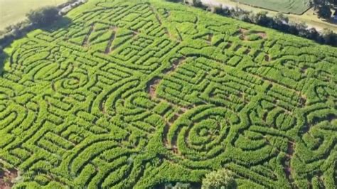 Corn Maze