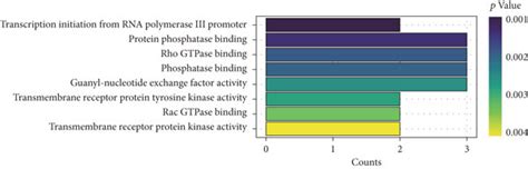 Gene Ontology Go Enrichment Analysis Of The Target Genes Of