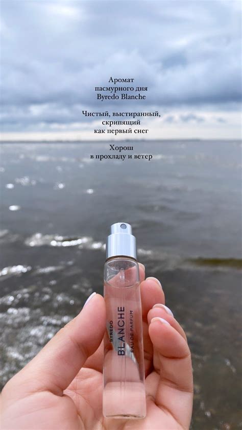 Pin by lena lintu on My fragrance stories | Perfume scents, Beauty ...