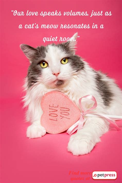 Purr-fect Love: 60 Cat Valentine's Day Quotes to Melt Your Heart ...