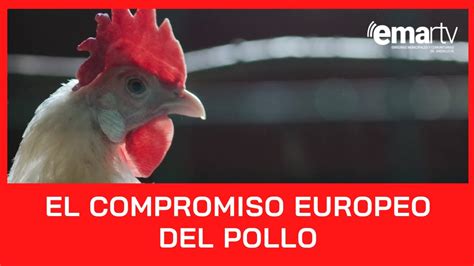 El Compromiso Europeo del Pollo por una industria cárnica más