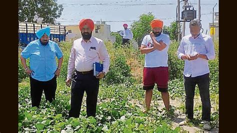 Agri Dept Director Visits Ludhiana Ahead Of Kisan Sarkar Milni