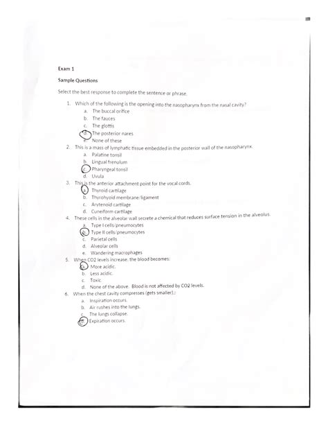 Essential Anatomy Quiz Derprovider