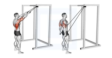 Band Straight Arm Pulldown Guide Benefits And Form