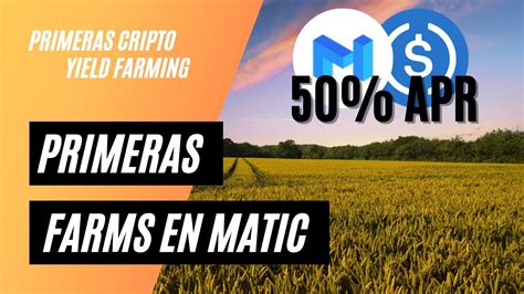 C Mo Hacer Yield Farming En Matic Tu Primera Liquidity Pool En