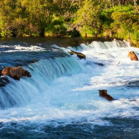 Pin Von Donna Robinson Auf Waterfalls Landschaft Natur Jigsaw Puzzle