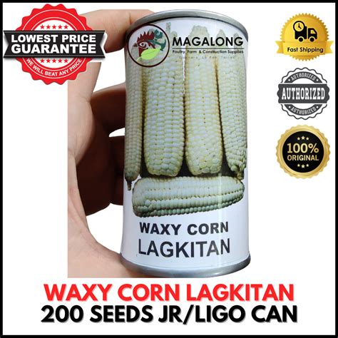 Condor Seeds Waxy Corn Seeds Lagkitan Seeds Jr Can Ligo Can