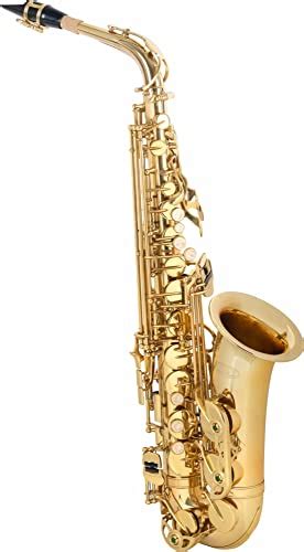 Alt Saxophone Die 16 Besten Produkte Im Vergleich Produktratgeber