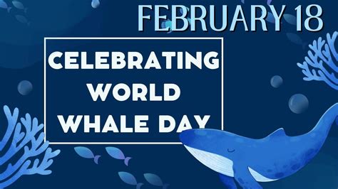 World Whale Day - FMF Blog