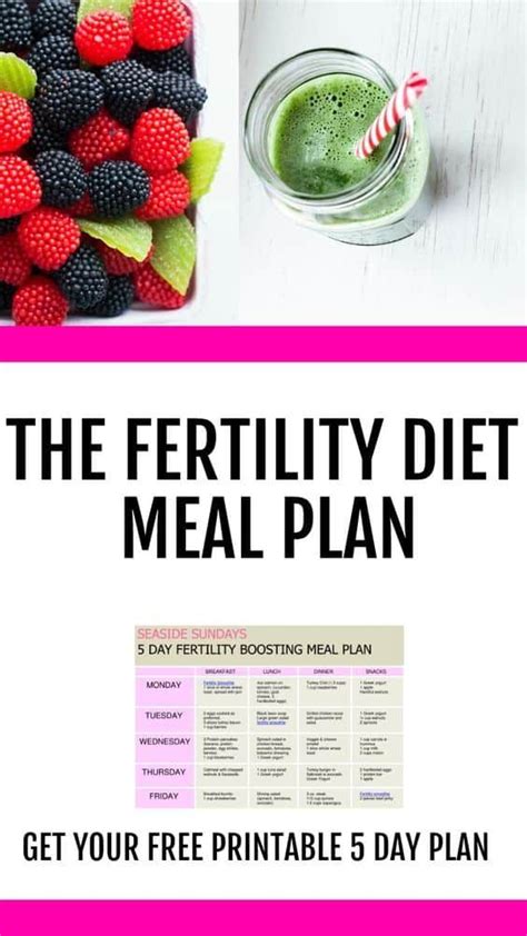 Printable Fertility Diet Meal Plan