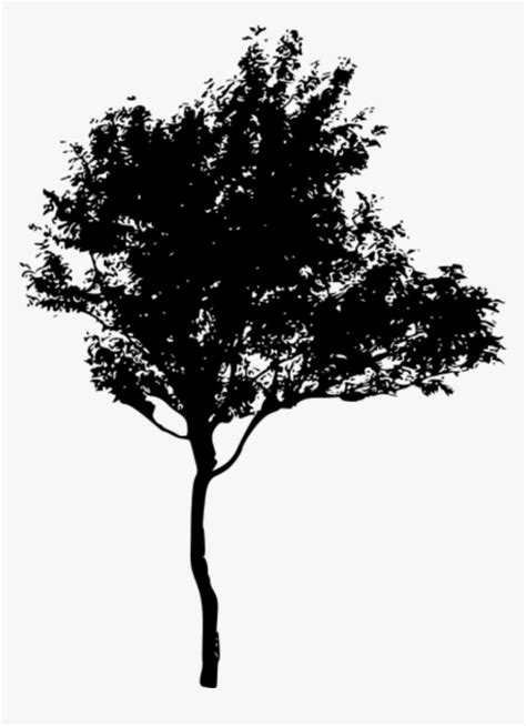 Transparent Tree Shadow Png - Silhouette Of Trees Png, Png Download - kindpng