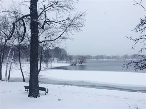 BEAUTIFUL | Jamaica Plain Gazette