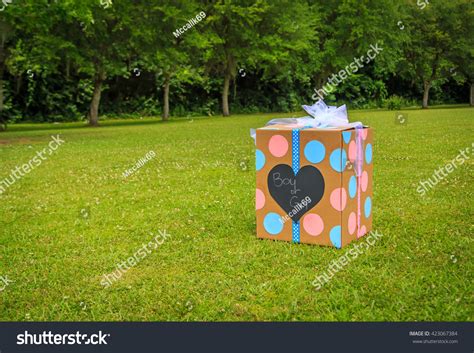 105 Box Of Balloons Gender Reveal Images, Stock Photos & Vectors ...