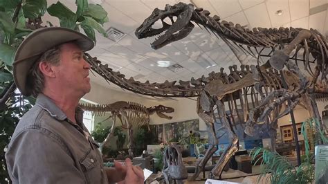 New dinosaur museum in Edwards features Colorado fossils | 9news.com