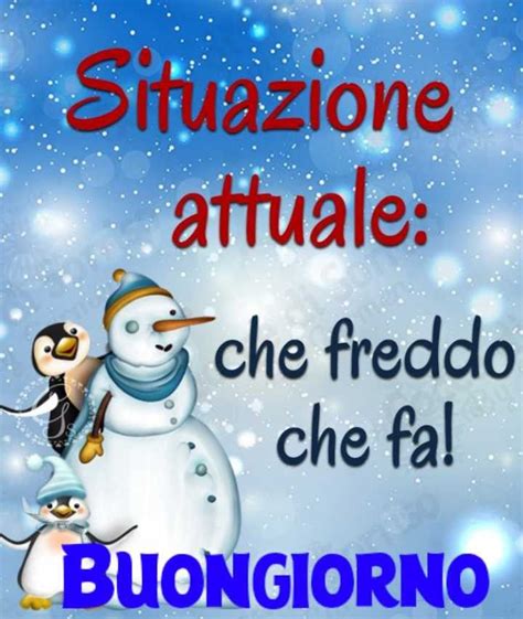 Buongiorno Fa Freddo