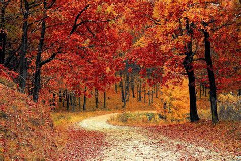 34 Facts About Fall - Facts.net