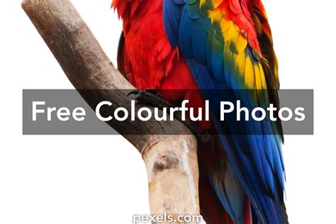 1000 Interesting Colourful Photos · Pexels · Free Stock Photos