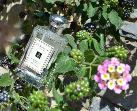 Jo Malone London Blackberry & Bay Cologne, Review | Color Me Loud