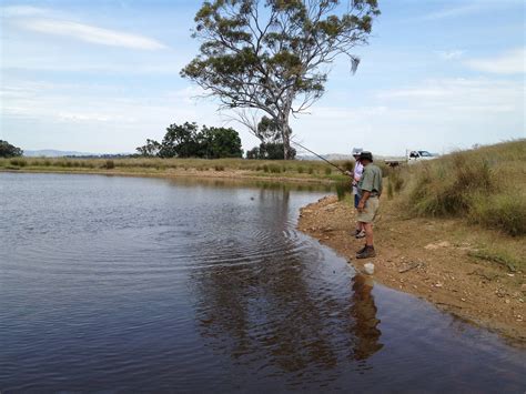 Farm Dam Fishing Stephan Ridgway Flickr