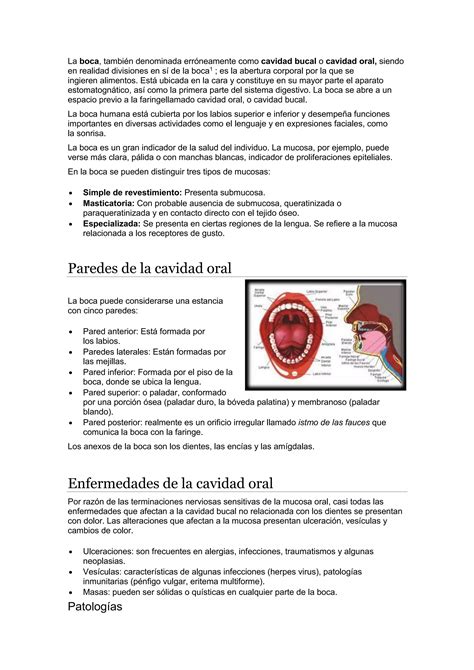 Cavidad Bucal PDF