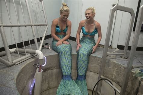 We Spent A Day With Real Life Mermaids In Weeki Wachee Florida